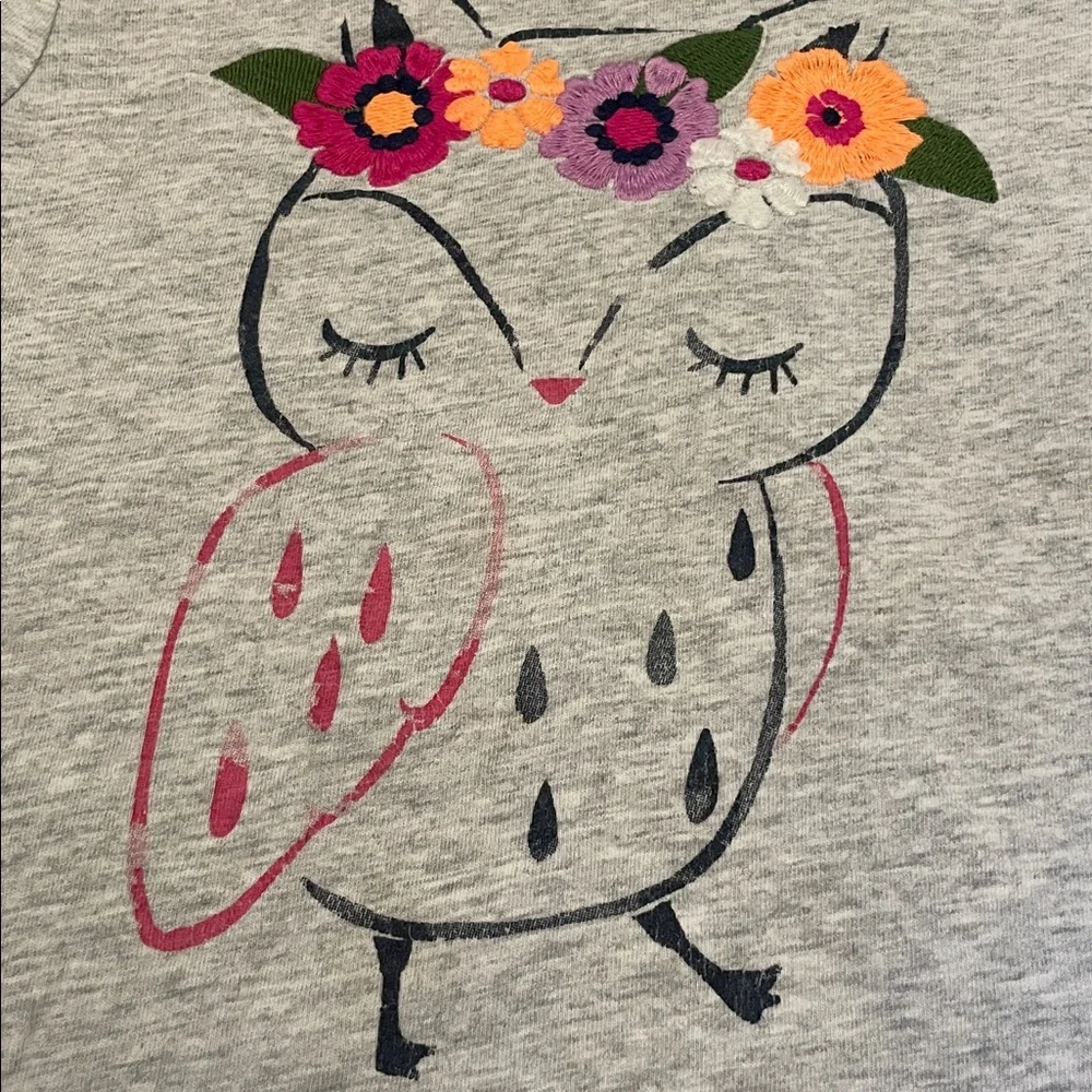 2015 Crazy 8 Floral Owl Outfit, Size 5T